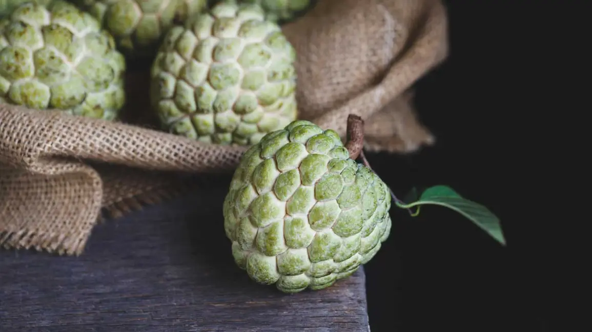 Custard Apple